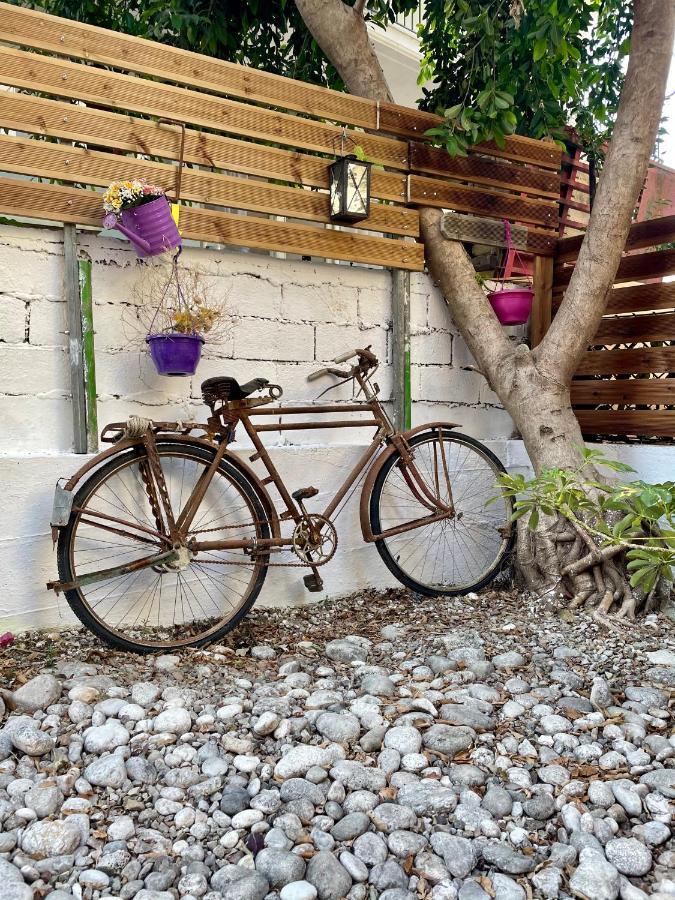 Gardenia Studios Nydri  Dış mekan fotoğraf